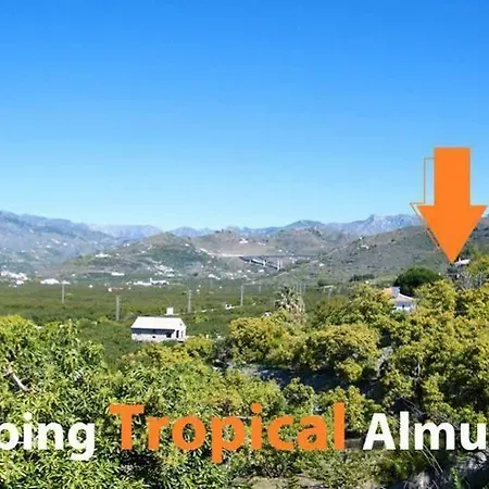 Tropical 호텔